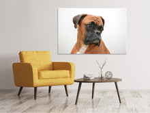 Load image into Gallery viewer, Canvas print Typical boxer
