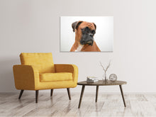 Load image into Gallery viewer, Canvas print Typical boxer

