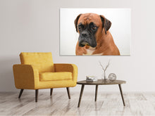 Load image into Gallery viewer, Canvas print The boxer
