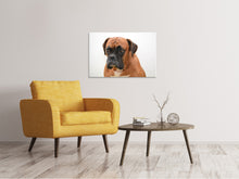 Load image into Gallery viewer, Canvas print The boxer
