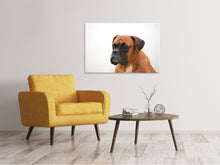 Load image into Gallery viewer, Canvas print Boxer - the watchdog
