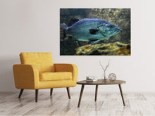 Load image into Gallery viewer, Canvas print Big fish

