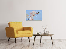 Load image into Gallery viewer, Canvas print Orchid in the sky
