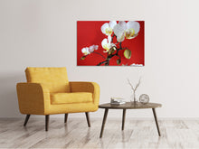 Load image into Gallery viewer, Canvas print White orchids on red wall
