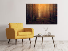 Load image into Gallery viewer, Canvas print Mysterious forest
