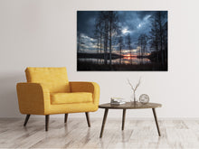 Load image into Gallery viewer, Canvas print Trees at the lake

