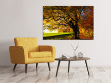 Load image into Gallery viewer, Canvas print Trees in the autumn

