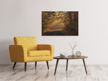Load image into Gallery viewer, Canvas print Sunbeams in the forest
