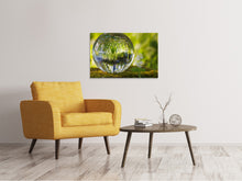 Load image into Gallery viewer, Canvas print Nature ball

