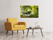 Load image into Gallery viewer, Canvas print Nature ball
