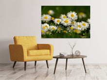 Load image into Gallery viewer, Canvas print Daisies XL 2

