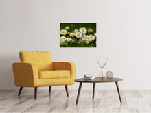 Load image into Gallery viewer, Canvas print Daisies XL 2
