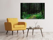 Load image into Gallery viewer, Canvas print Wild forest
