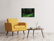 Load image into Gallery viewer, Canvas print Wild forest
