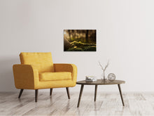 Load image into Gallery viewer, Canvas print The moss

