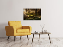 Load image into Gallery viewer, Canvas print The moss
