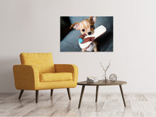 Load image into Gallery viewer, Canvas print Obedient chihuahua
