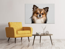 Load image into Gallery viewer, Canvas print Sweet chihuahua
