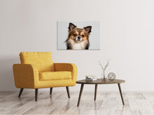 Load image into Gallery viewer, Canvas print Sweet chihuahua
