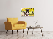 Load image into Gallery viewer, Canvas print Cute chihuahua puppy
