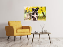 Load image into Gallery viewer, Canvas print Cute chihuahua puppy
