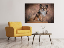 Load image into Gallery viewer, Canvas print Chihuahua portrait

