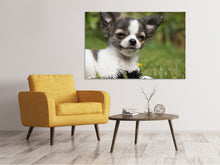 Load image into Gallery viewer, Canvas print Chihuahua to fall in love
