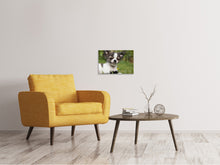 Load image into Gallery viewer, Canvas print Chihuahua to fall in love
