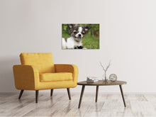 Load image into Gallery viewer, Canvas print Chihuahua to fall in love
