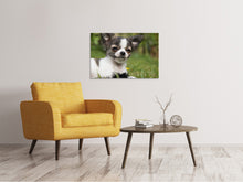 Load image into Gallery viewer, Canvas print Chihuahua to fall in love
