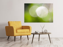 Load image into Gallery viewer, Canvas print Reflections balls
