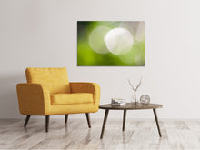 Load image into Gallery viewer, Canvas print Reflections balls
