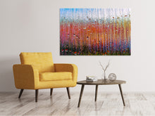 Load image into Gallery viewer, Canvas print Behind glass
