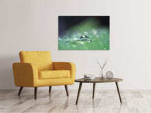 Load image into Gallery viewer, Canvas print Drops of water in XXL
