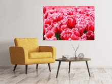 Load image into Gallery viewer, Canvas print Happy tulip field
