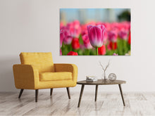 Load image into Gallery viewer, Canvas print Tulip field in pink-red
