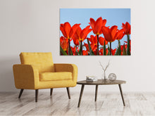 Load image into Gallery viewer, Canvas print Red tulips XL
