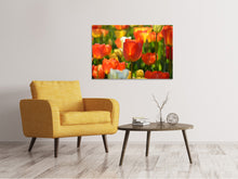 Load image into Gallery viewer, Canvas print Close up tulip field

