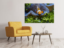 Load image into Gallery viewer, Canvas print Cute clownfish
