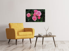Load image into Gallery viewer, Canvas print The wild roses in pink
