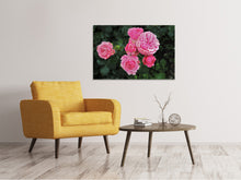 Load image into Gallery viewer, Canvas print The wild roses in pink
