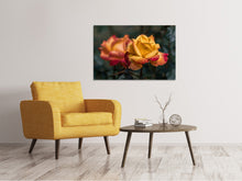 Load image into Gallery viewer, Canvas print The rose in the garden
