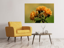 Load image into Gallery viewer, Canvas print The roses in nature
