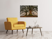 Load image into Gallery viewer, Canvas print Ghostly trees
