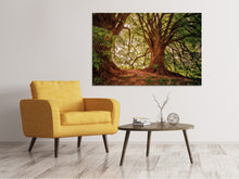 Load image into Gallery viewer, Canvas print In the dense forest
