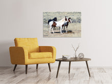 Load image into Gallery viewer, Canvas print 3 wild horses
