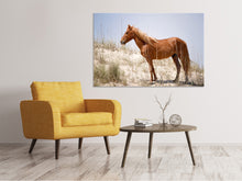 Load image into Gallery viewer, Canvas print Wild spanish Mustang
