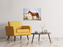 Load image into Gallery viewer, Canvas print Wild spanish Mustang
