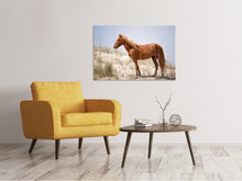 Load image into Gallery viewer, Canvas print Wild spanish Mustang
