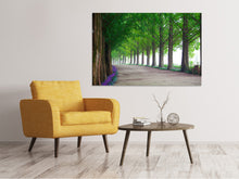 Load image into Gallery viewer, Canvas print Beautiful tree avenue
